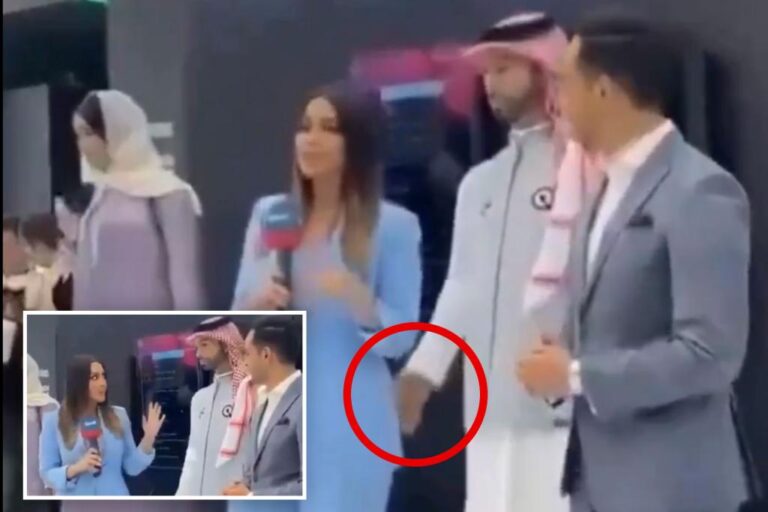 An AI robot appears to have groped a female reporter during a live interview in Saudi Arabia.