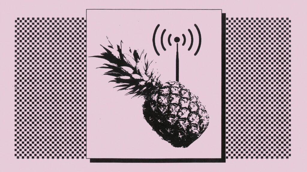 How a Wi-Fi Pineapple Can Steal Your Data (And How to Protect Yourself ...